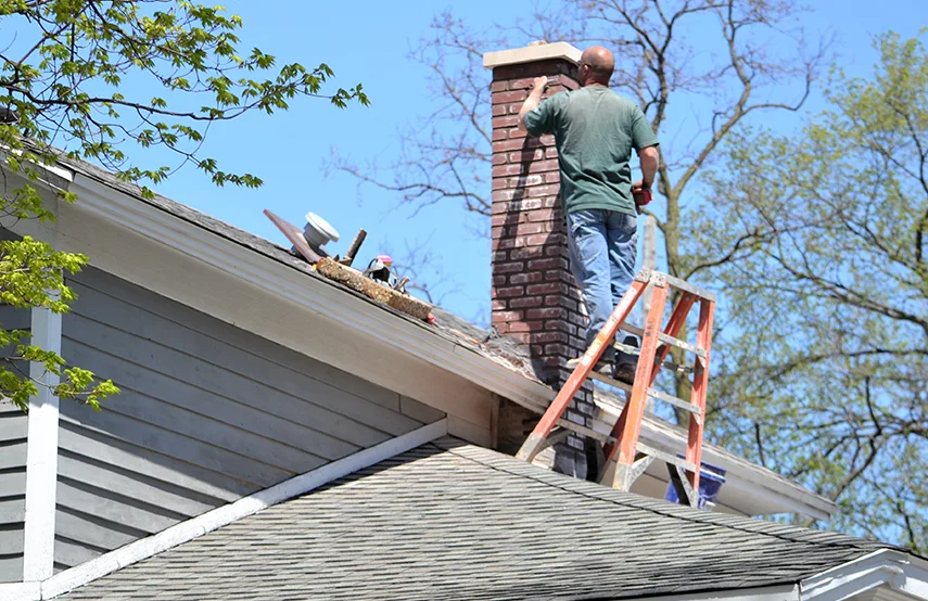 Chimney & Fireplace Inspections Services in Atascocita, TX